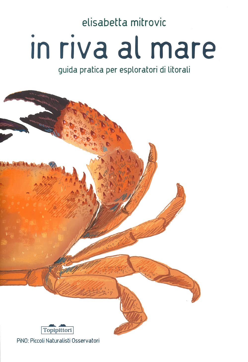 Copertina di In riva al mare. Guida pratica per esploratori di litorali