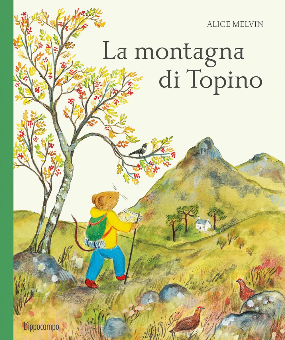 Copertina di La montagna di Topino