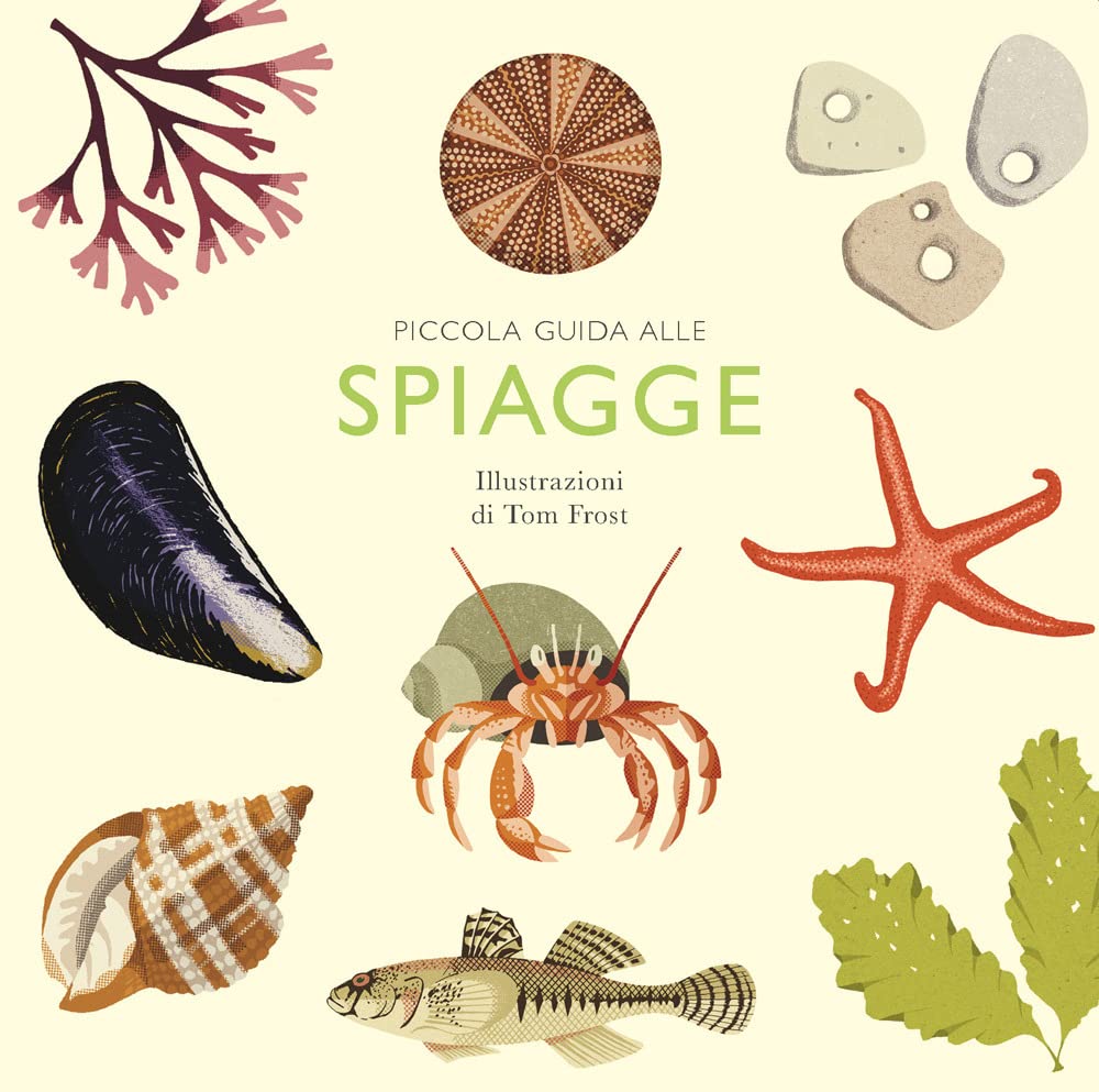 Copertina di Piccola guida alle spiagge