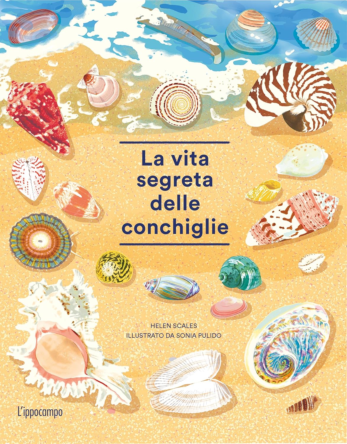 Copertina di La vita segreta delle conchiglie