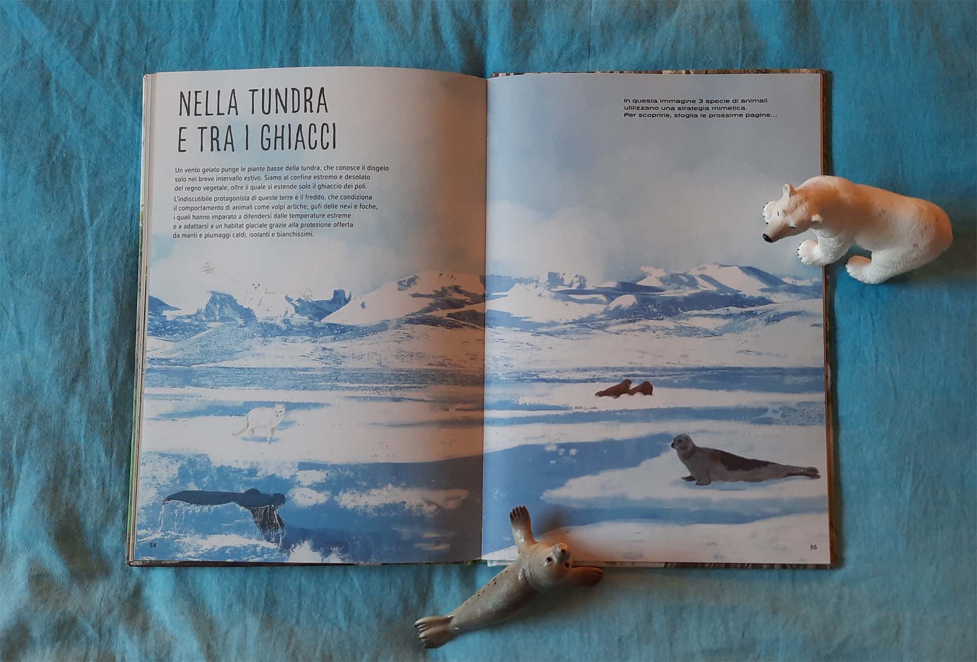 Doppia pagina di apertura del capitolo sulla tundra: una distesa di ghiacci azzurri e bianchi con una balena, una foca e altri animali appena accennati nel paesaggio
