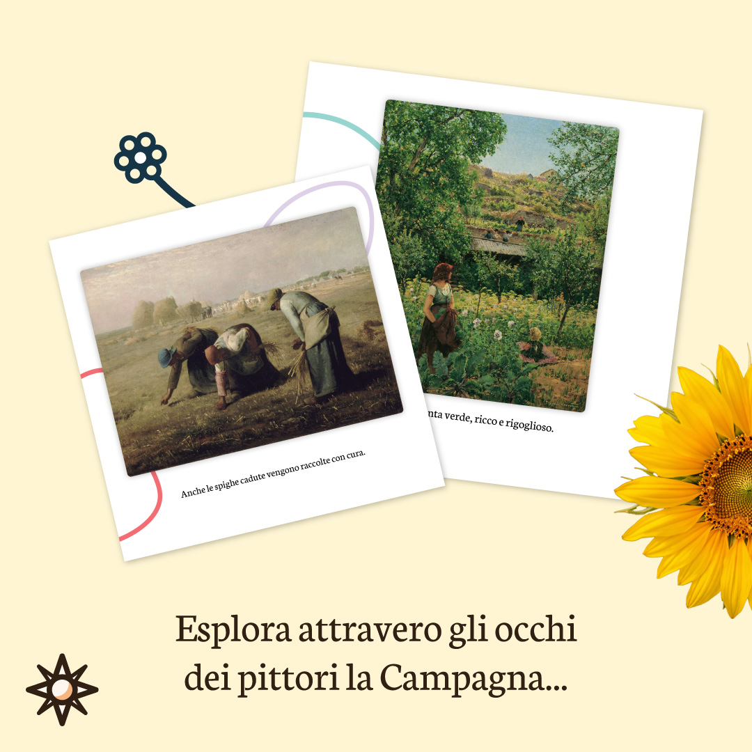 Lo Splendore dell'Estate campagna