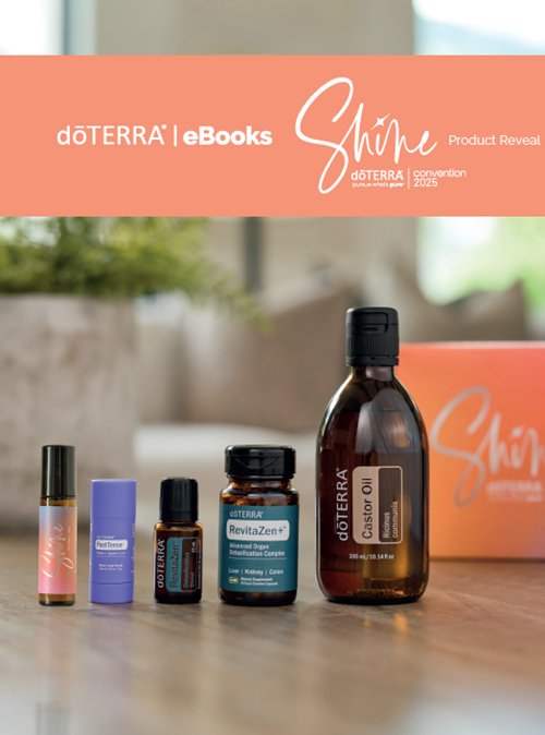 2025 Convention Reveal eBook cover