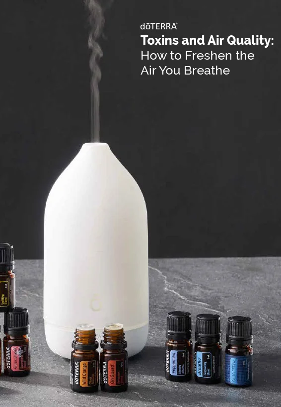 Toxins and Air Quality eBook cover