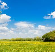 Meerhout-Geel-Balen : landbouwgronden - Afbeelding 1