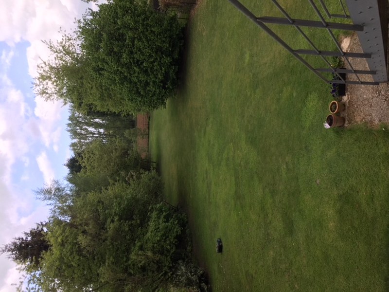 Appartement met 3 slaapkamers en grote tuin - Afbeelding 2