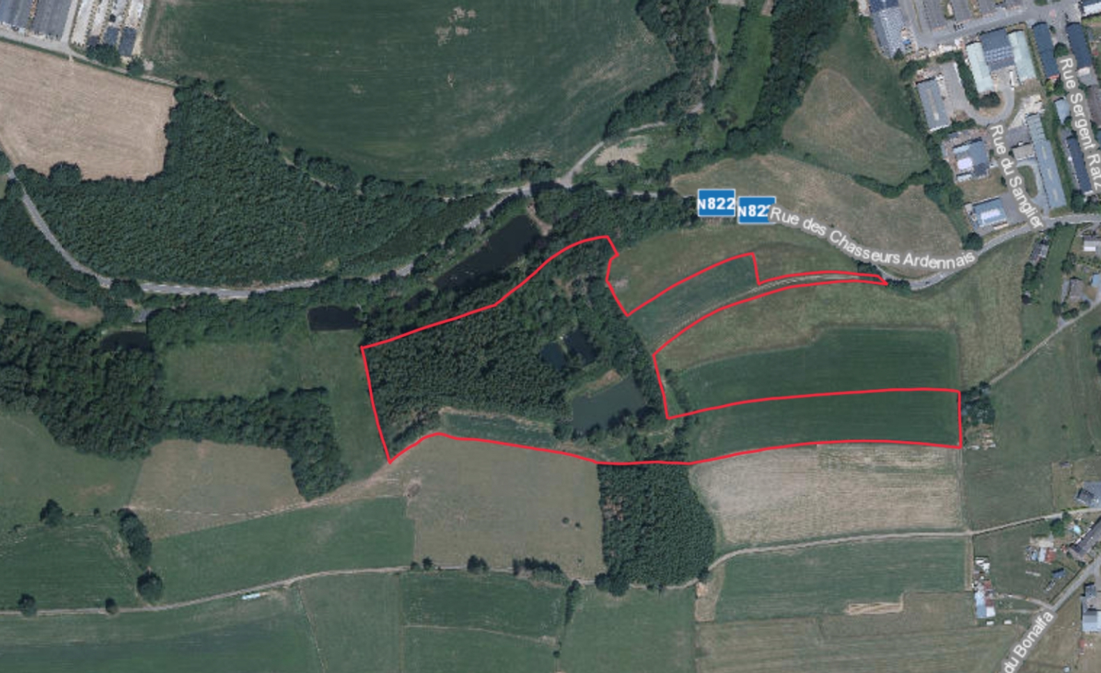 Vielsalm : Chalet met vijvers/weilanden/bos - Afbeelding 1