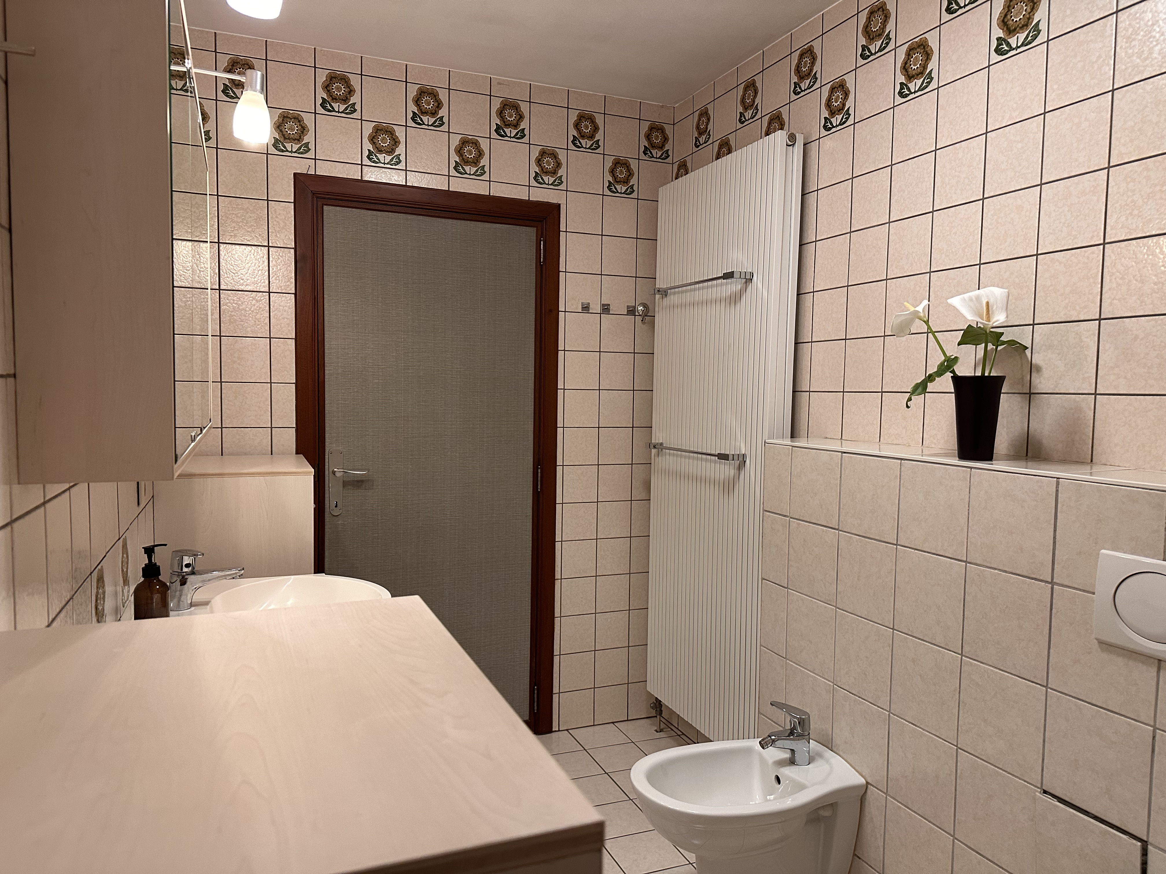 Gelijkvloerse woning op groot perceel - Afbeelding 11