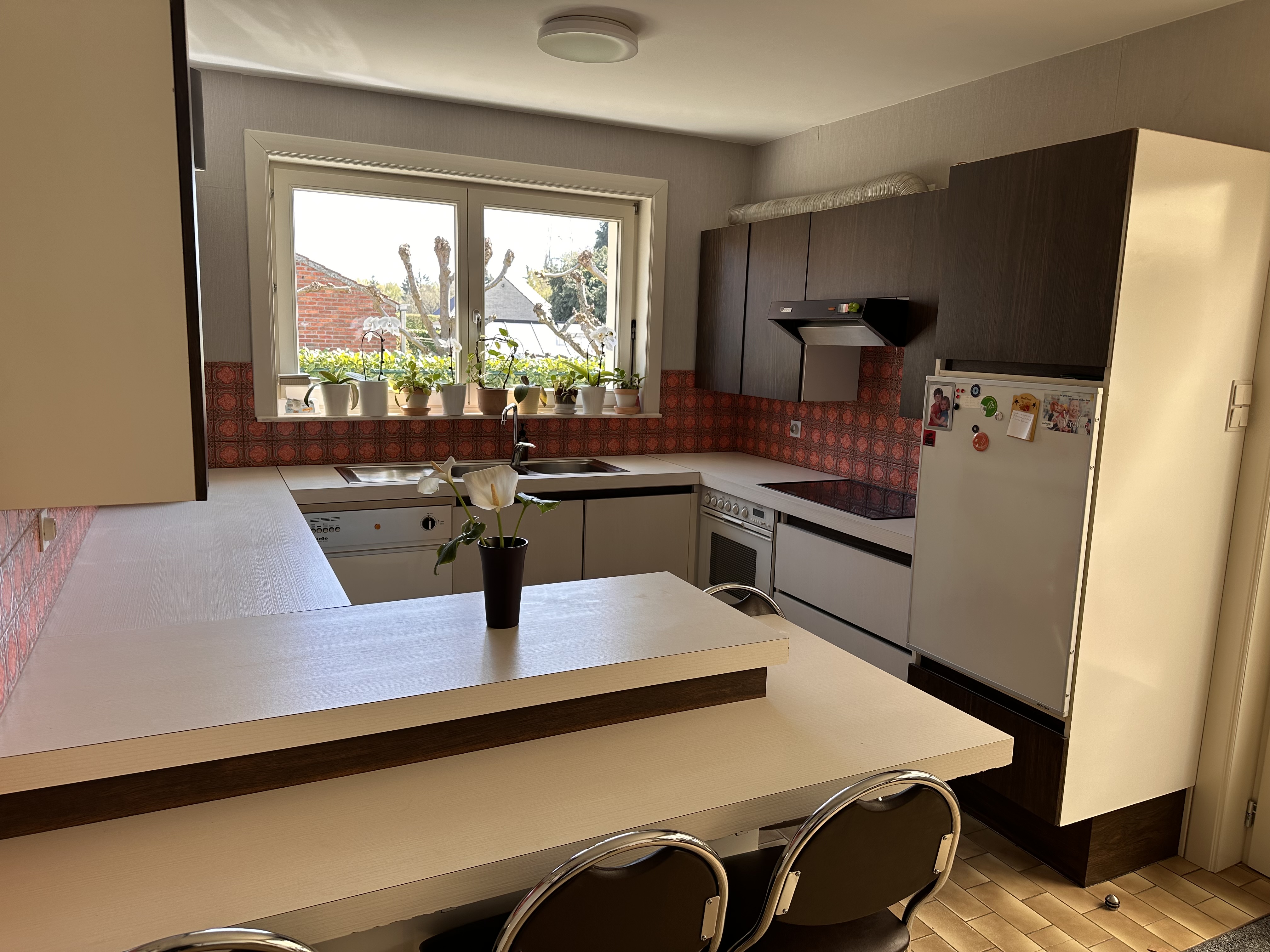 Gelijkvloerse woning op groot perceel - Afbeelding 7