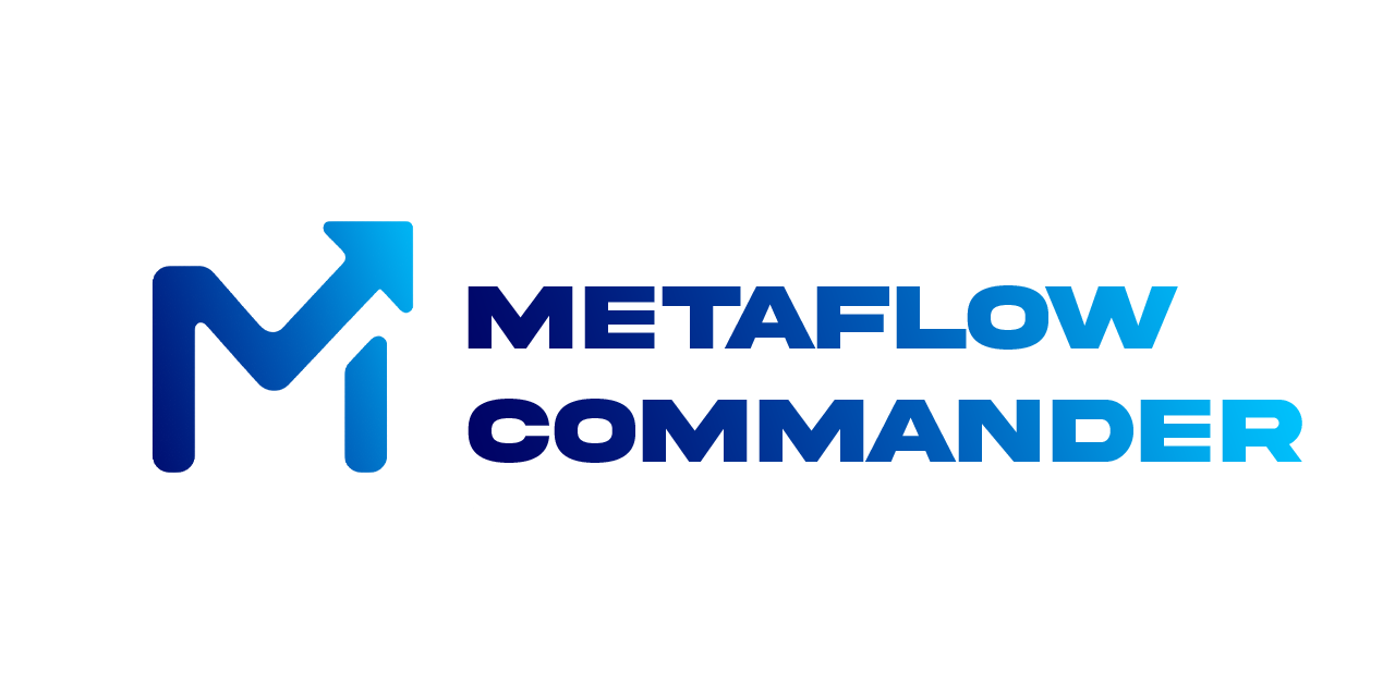 MetaFlow Thumbnail