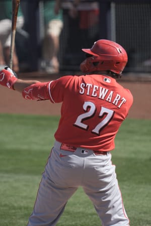 Sal Stewart