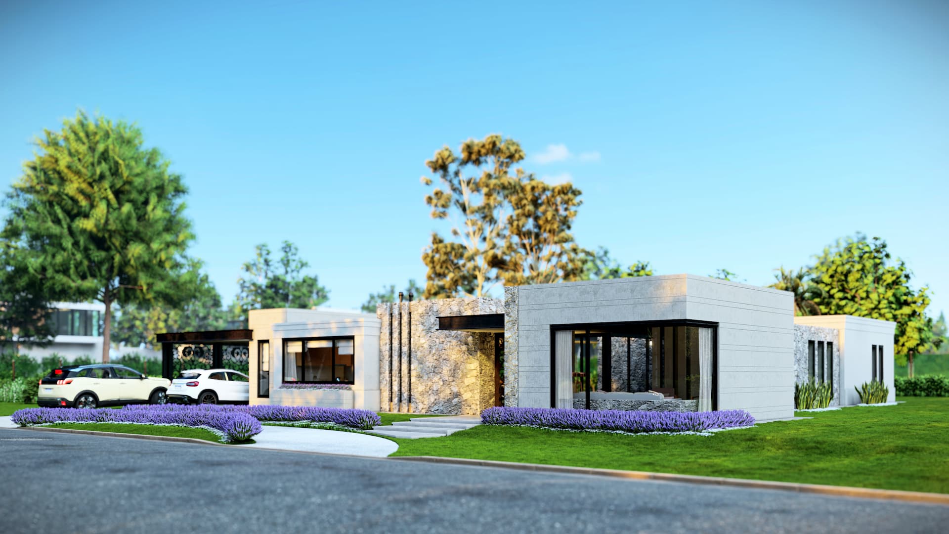 Imagen del proyecto