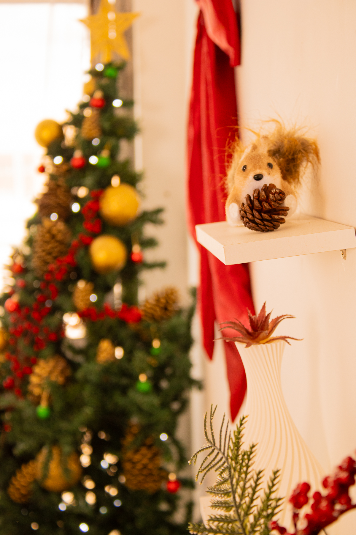 Locações para cenários de Natal 2026 — foto 5