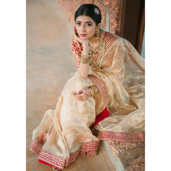 KC 865 Sarees wholesale SOFT ORGANZA - Ethnicaa thumbnail 7