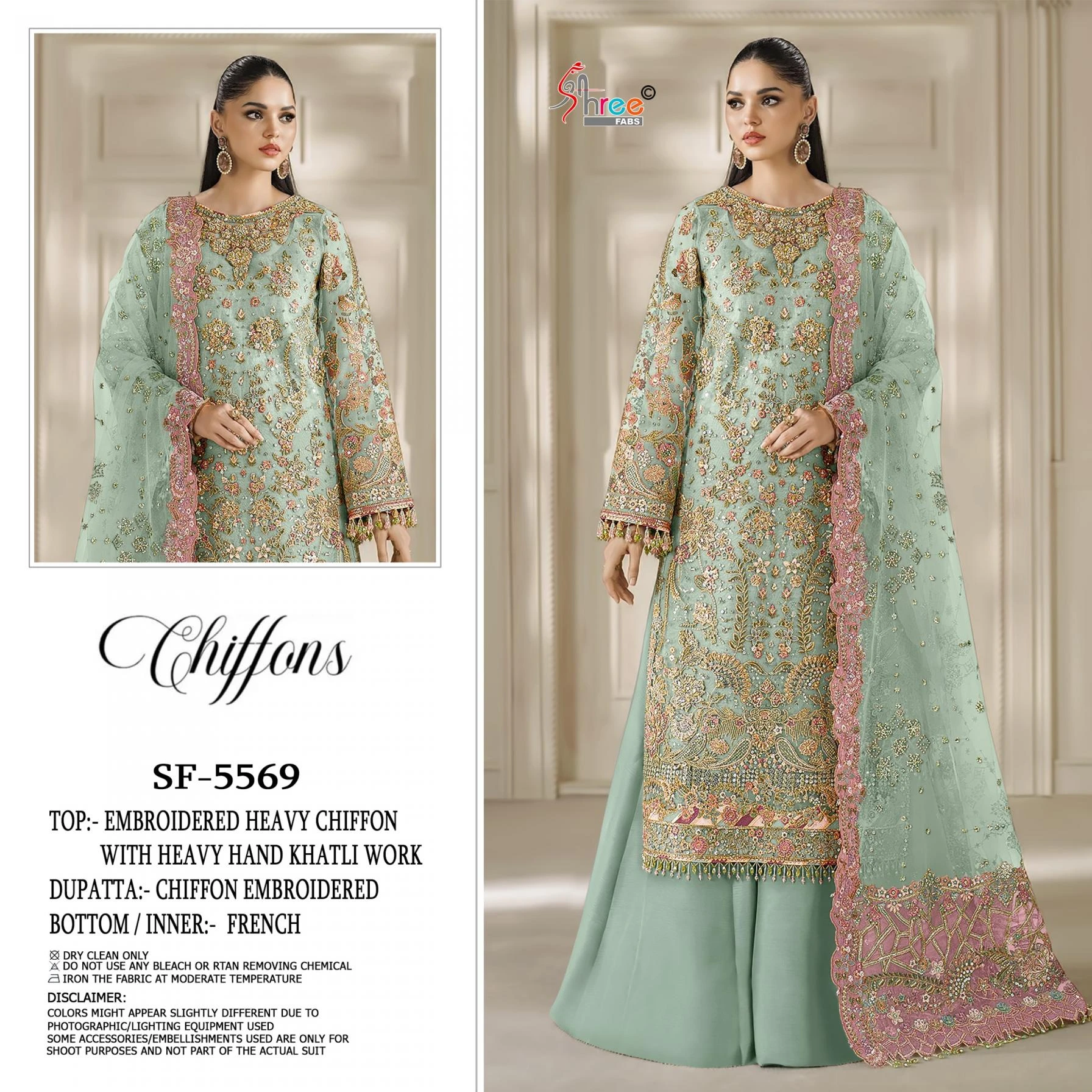 5569 Ethnic Wear wholesale CHIFFON - Ethnicaa thumbnail 2