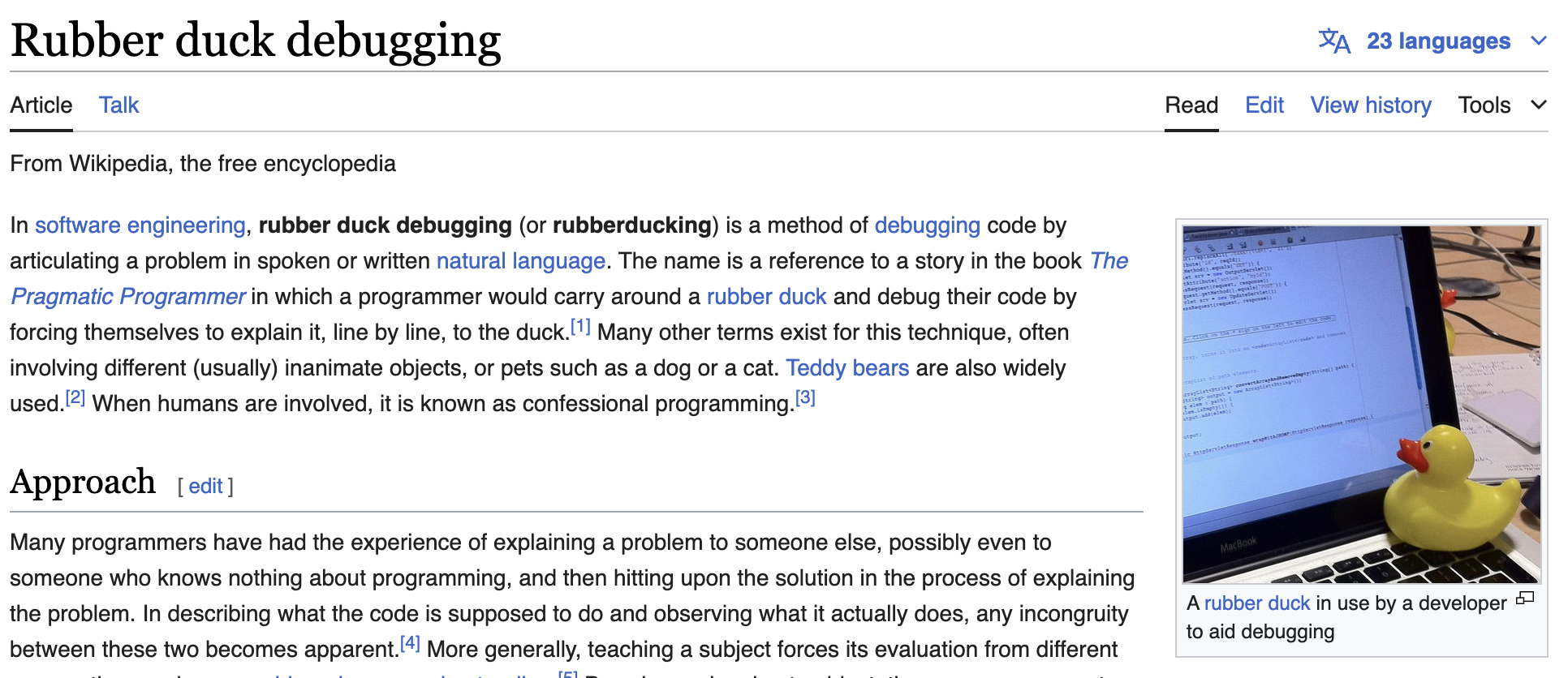 Rubber duck debugging Wiki