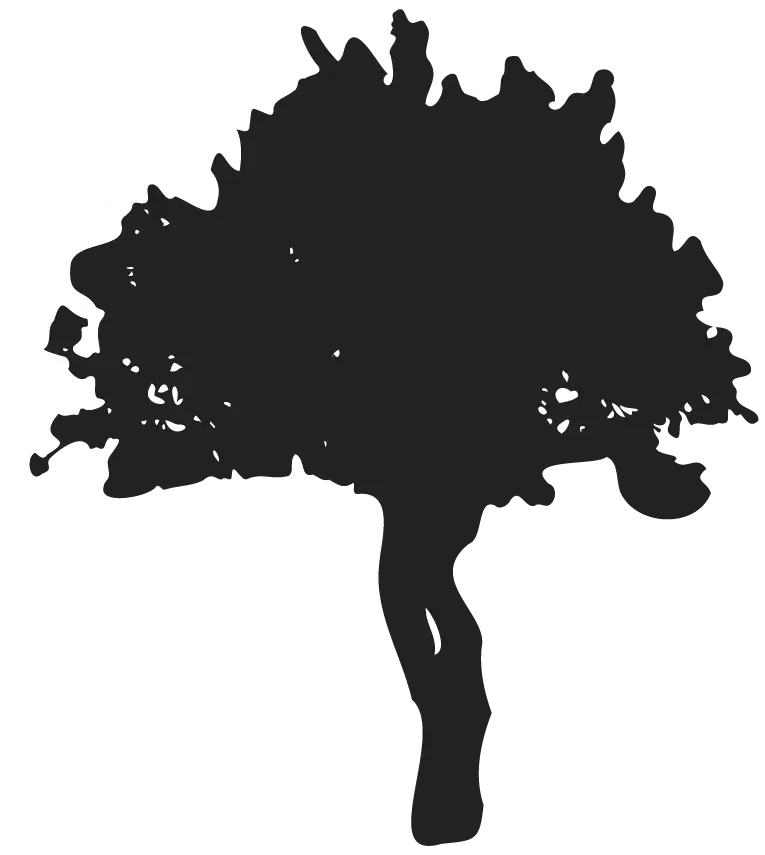 Shadow of the element of biodiversity