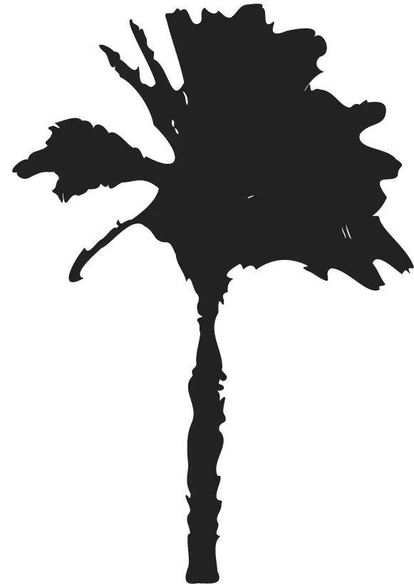 Shadow of the element of biodiversity