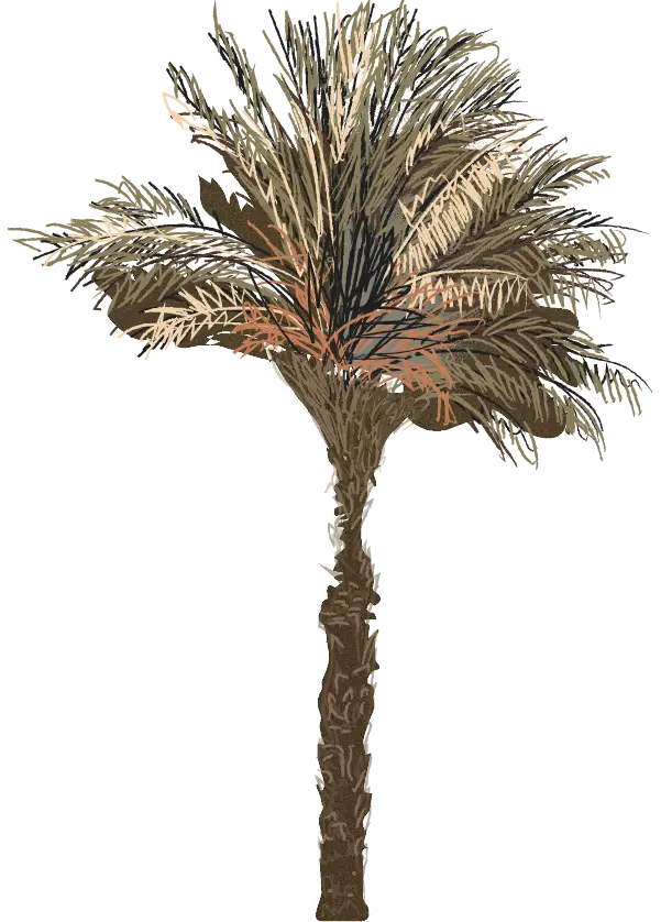 Image of an element of biodiversity
