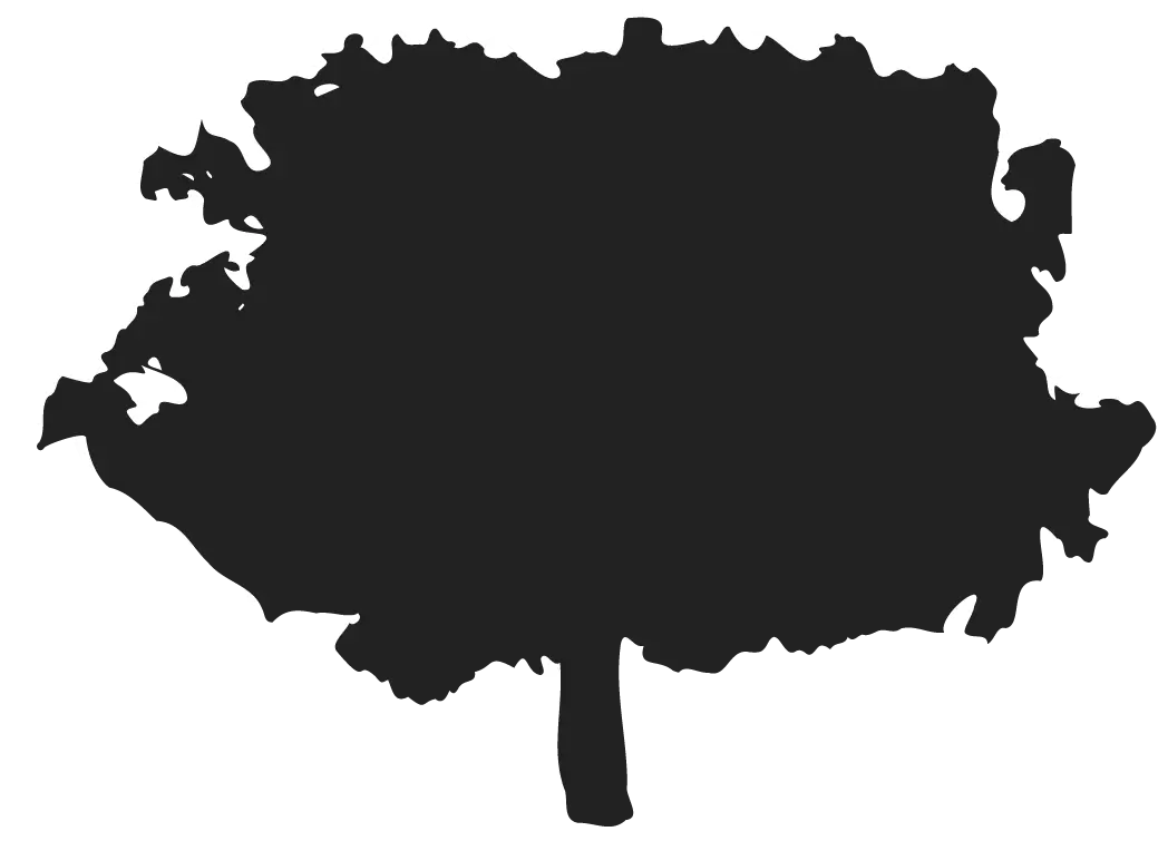 Shadow of the element of biodiversity