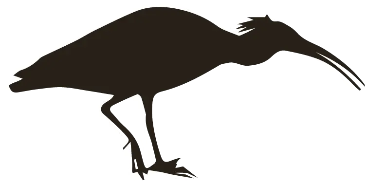 Shadow of the element of biodiversity