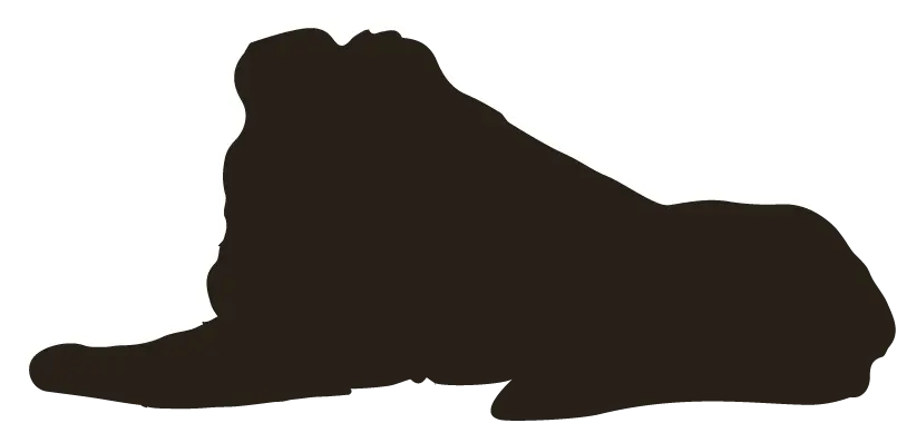 Shadow of the element of biodiversity
