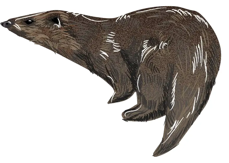 Image of an element of biodiversity