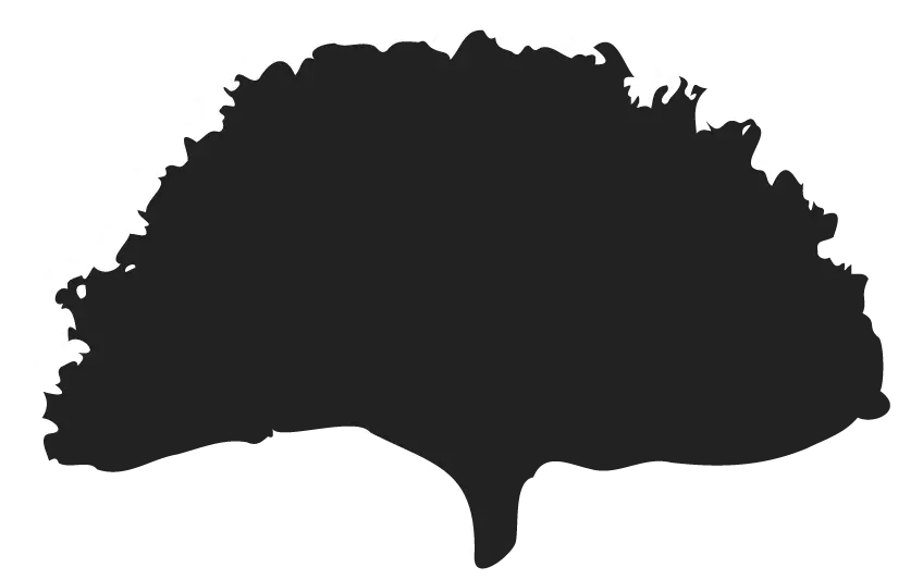 Shadow of the element of biodiversity