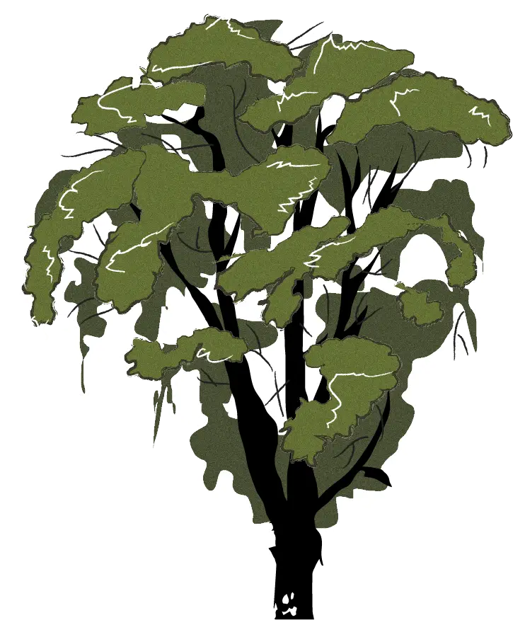 Image of an element of biodiversity