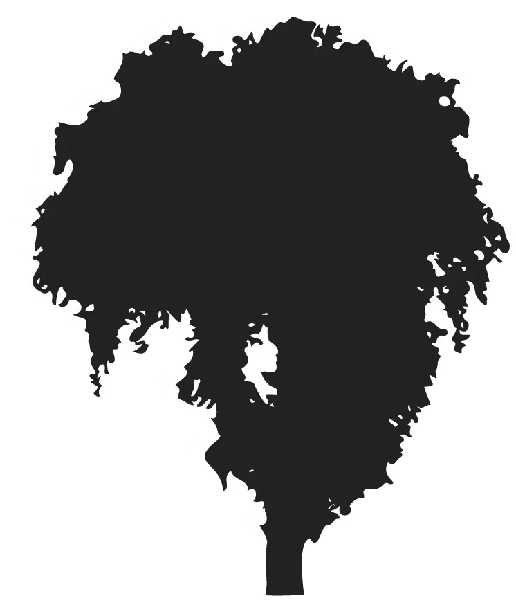 Shadow of the element of biodiversity