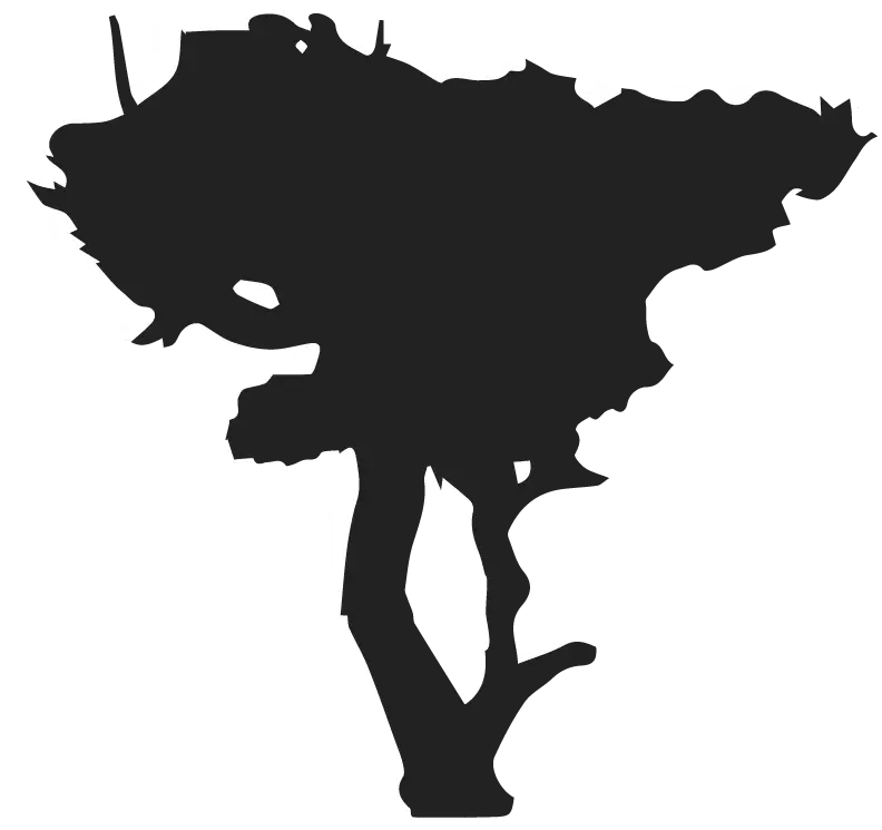 Shadow of the element of biodiversity