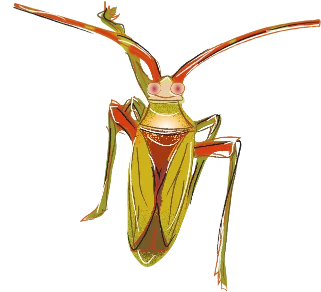 Image of an element of biodiversity