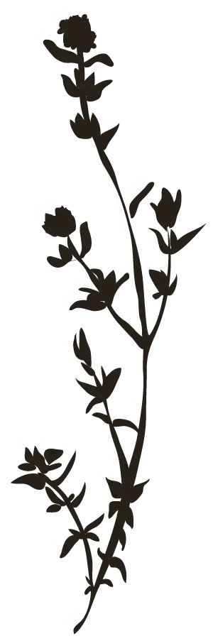 Shadow of the element of biodiversity