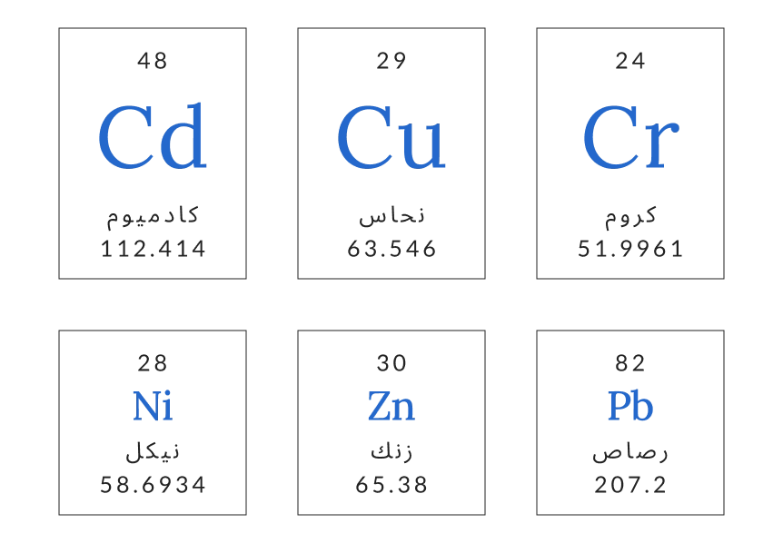 An image depicting the topic