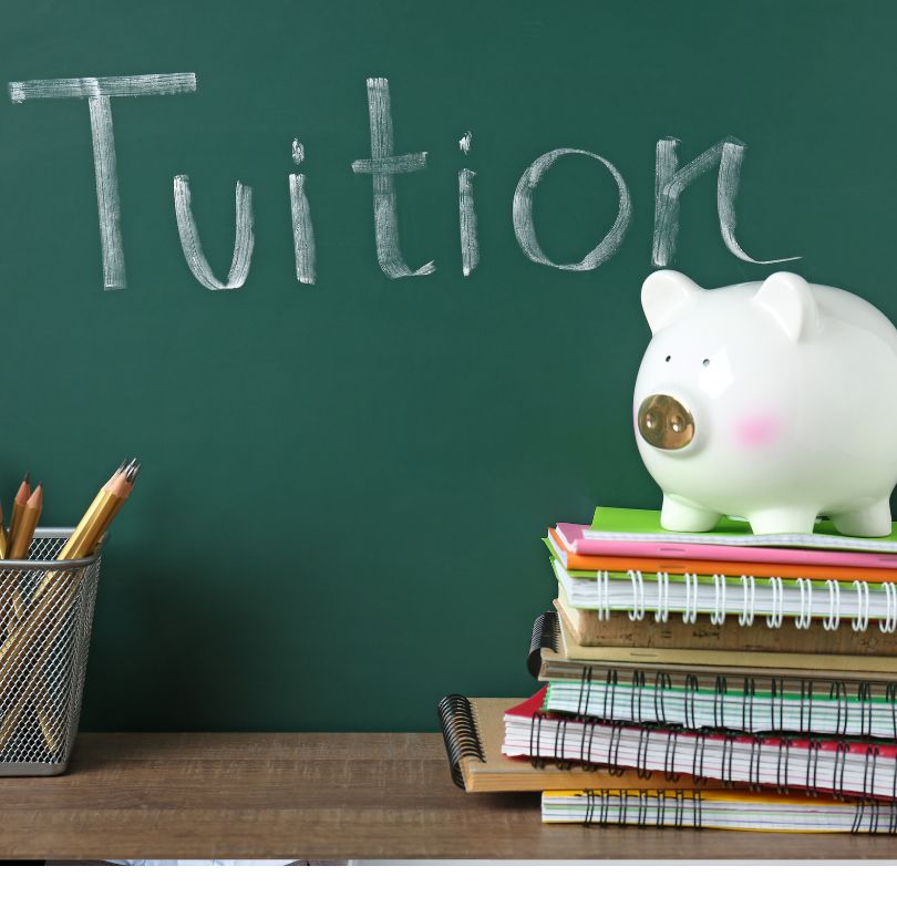 German Tuition or Group Class: Which Should You Choose?