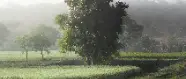 Korean Technology Alliance: EVARA’s bankable path for smart agriculture and clean energy in Saudi Arabia