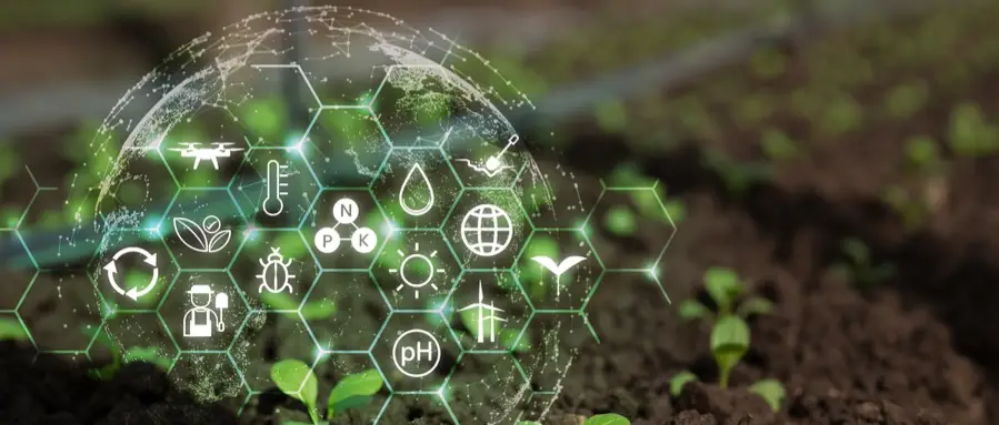 Korean Technology Alliance: EVARA’s bankable path for smart agriculture and clean energy in Saudi Arabia