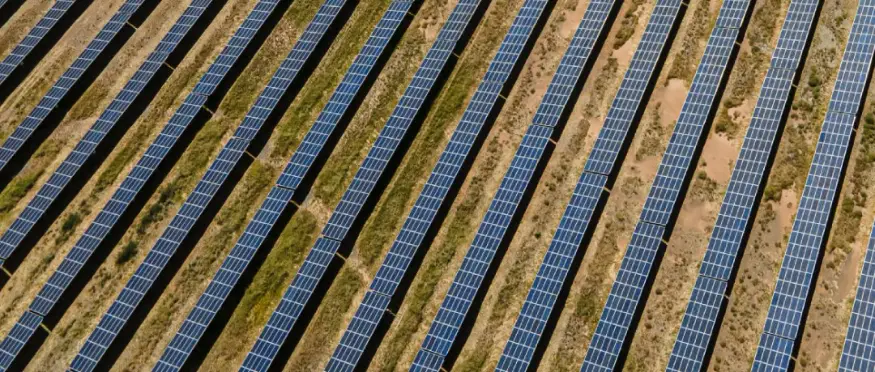 Korean Technology Alliance: EVARA’s bankable path for smart agriculture and clean energy in Saudi Arabia