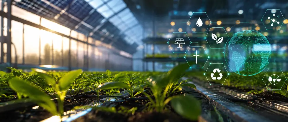 Korean Technology Alliance: How EVARA Is Building Bankable Smart-Agriculture & Clean-Energy Projects in Saudi Arabia