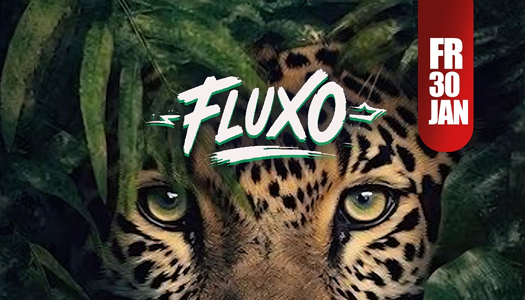 FLUXO  own the night