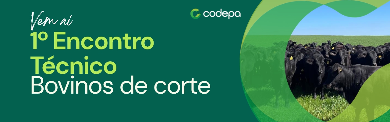 imagem de capa do evento