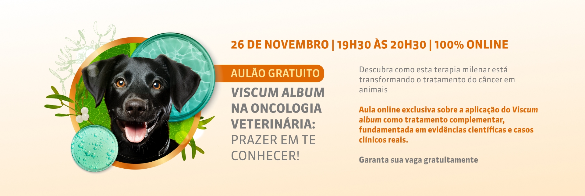 imagem de capa do evento