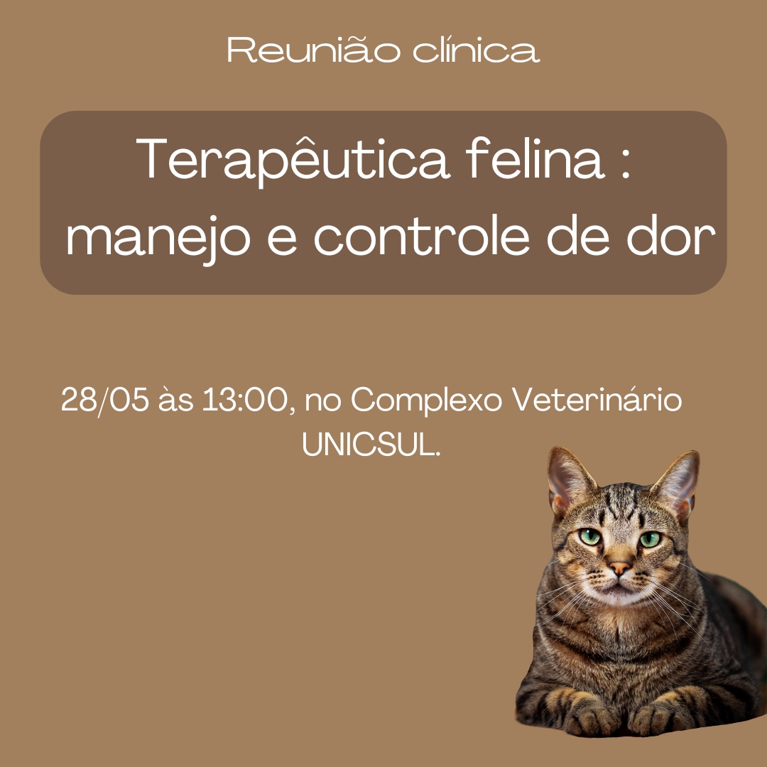 imagem de capa do evento