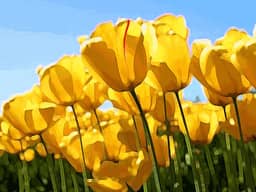 bg-img
