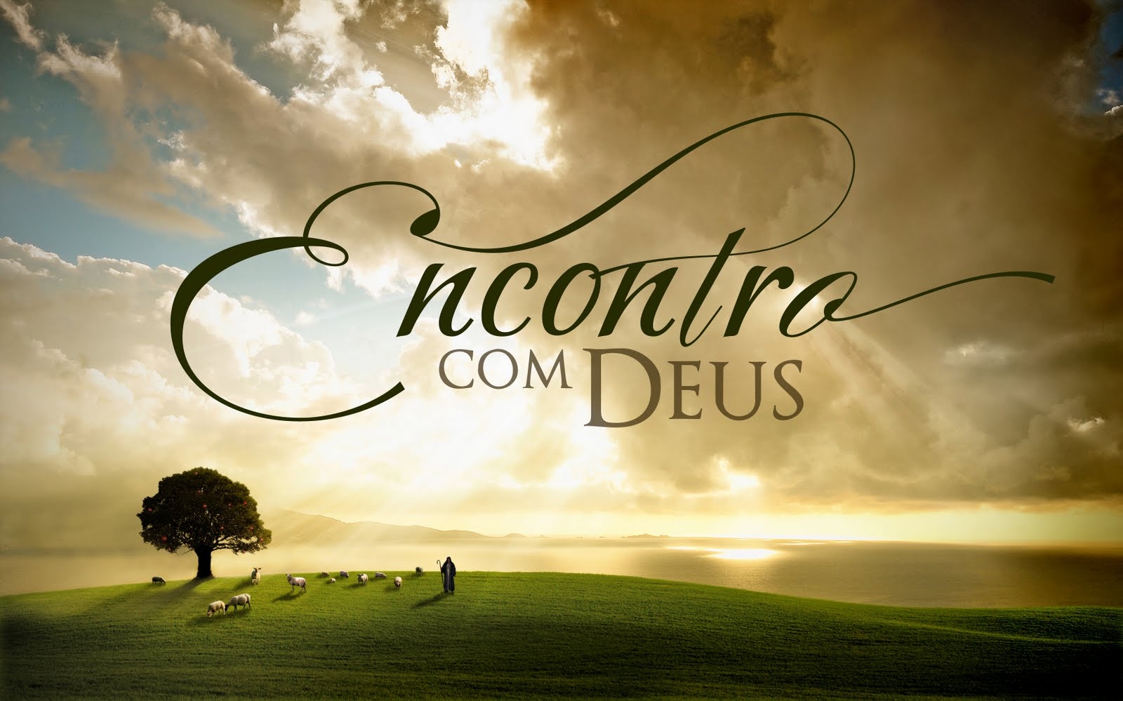 imagem de capa do evento
