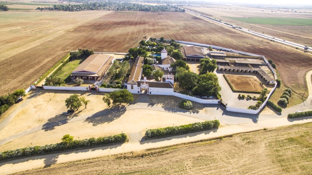 Hacienda Atalaya Alta - Quinta en Sevilla - Foto 25