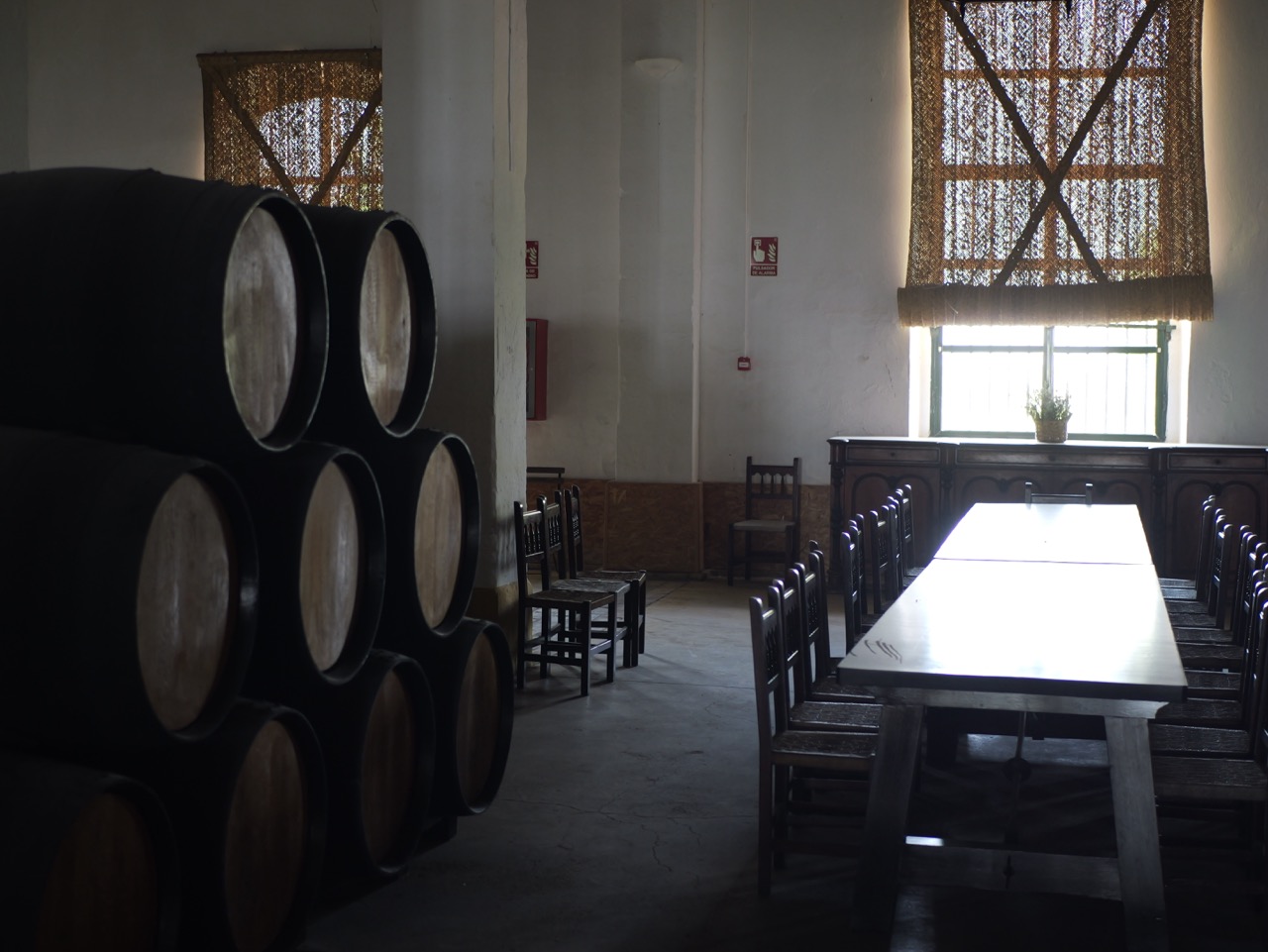 Finca Cerro de Obregon - Quinta en Cádiz - Foto 6