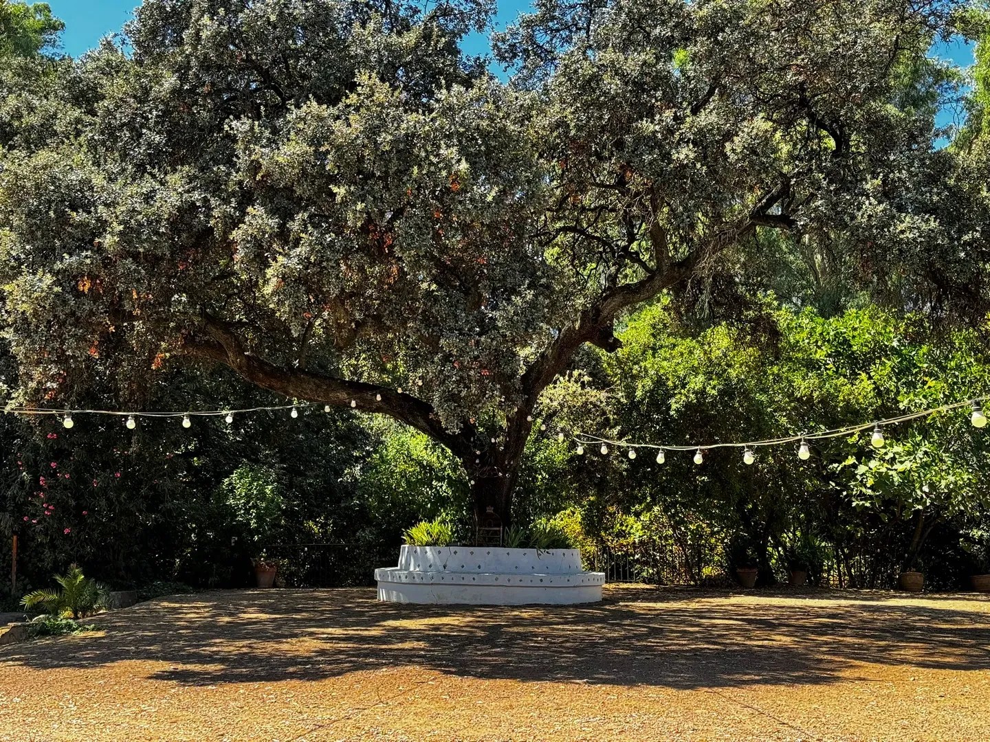 Cortijo de Artaza - Quinta en Córdoba - Foto 19