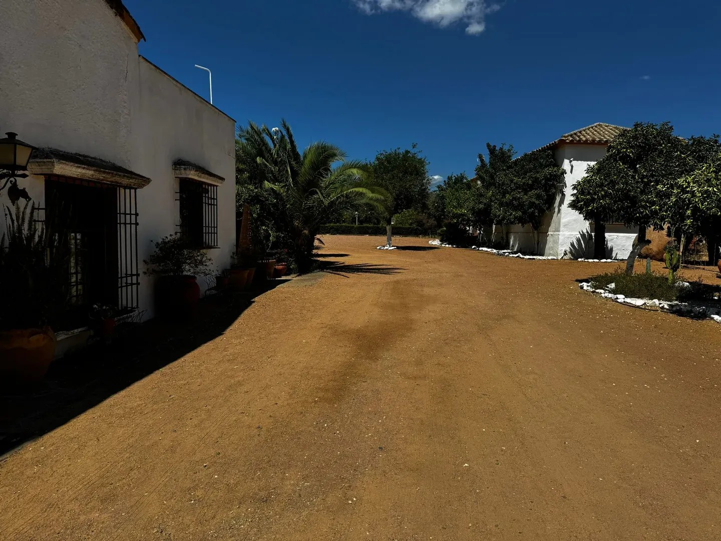 Cortijo de Artaza - Quinta en Córdoba - Foto 14