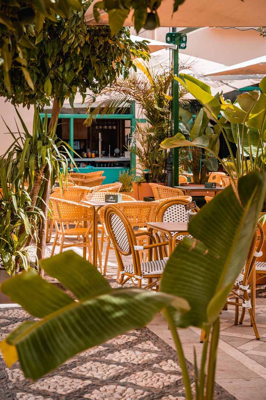 Mamá samba - grupo paripé 2